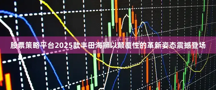 股票策略平台2025款丰田海狮以颠覆性的革新姿态震撼登场