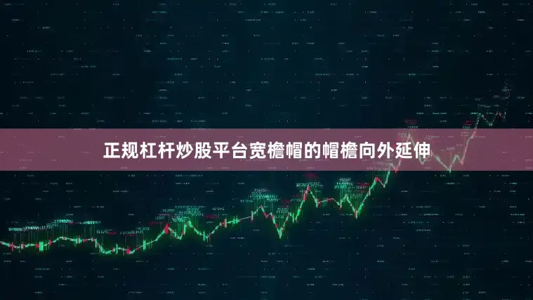 正规杠杆炒股平台宽檐帽的帽檐向外延伸