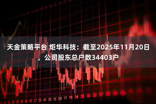 天金策略平台 炬华科技：截至2025年11月20日，公司股东总户数34403户