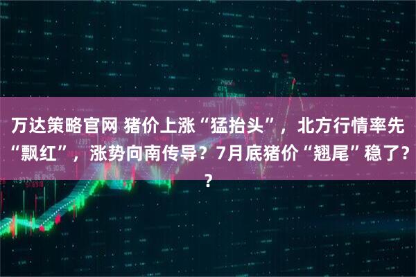 万达策略官网 猪价上涨“猛抬头”，北方行情率先“飘红”，涨势向南传导？7月底猪价“翘尾”稳了？